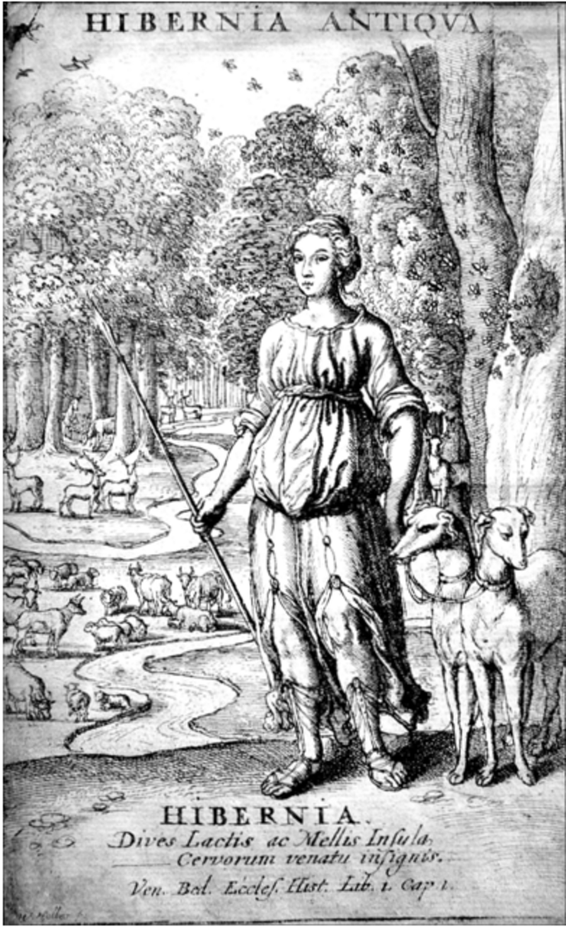 Frontispiece in Sir James Ware, Equitis Aurati de Hibernia and Antiquitatibus ejus, Disquisitiones (London, 1658) Frontispiece in Sir James Ware, Equitis Aurati de Hibernia and Antiquitatibus ejus, Disquisitiones (London, 1658)